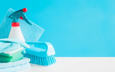 gallery_clean_005