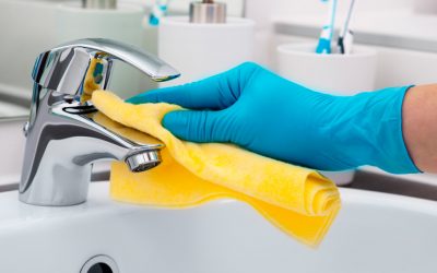 gallery_clean_006